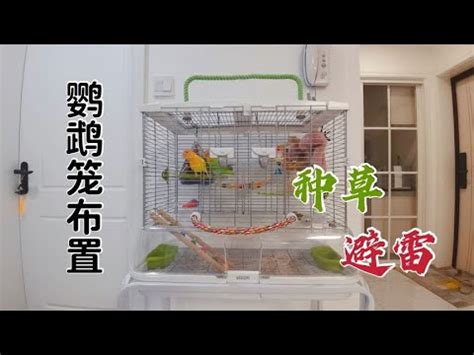 鳥籠佈置|阿米購